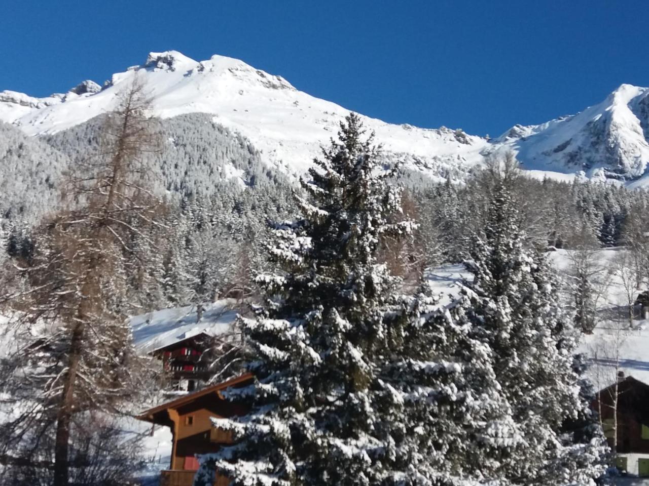 Апартаменти Chalet Uf Em Stutz 1 Гріндельвальд Екстер'єр фото